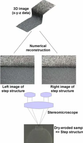 Fig. 1 Illustration of the principle of quantitative topographical measurements using a stereomicroscope