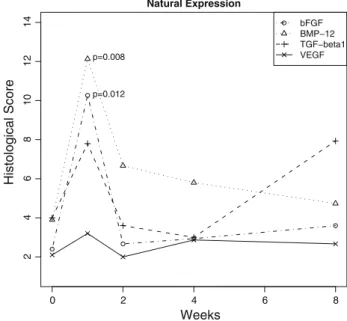 Fig. 1 Immunoreactive scores for primary antibodies against bFGF, BMP-12, VEGF and TGF-b1 at different time points after tendon transection
