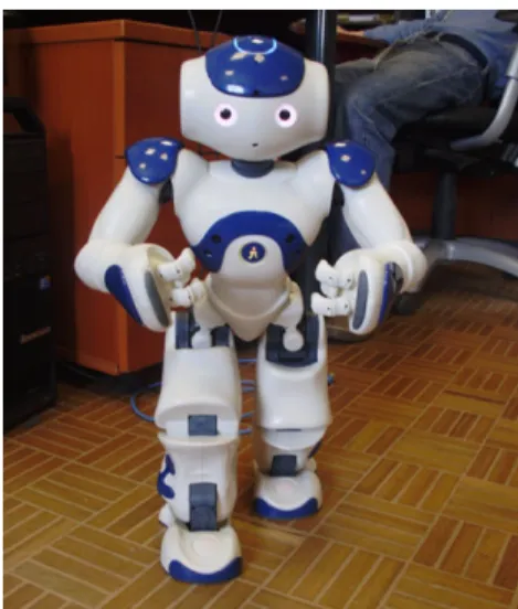 Fig. 1 The Nao robot