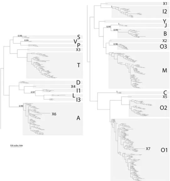 Table 2 lists the number of conopeptides found in each superfamily and their distribution among the 71 Conus species