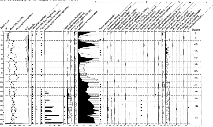 Fig. 3 Pollen and macrofossil diagram for the Grande Basse. Mi- Mi-crofossils (pollen and spores) are drawn as black silhouettes, with 5-times exaggeration in white and depth bars at sample levels and dotted baseline; macrofossils are drawn as histograms (