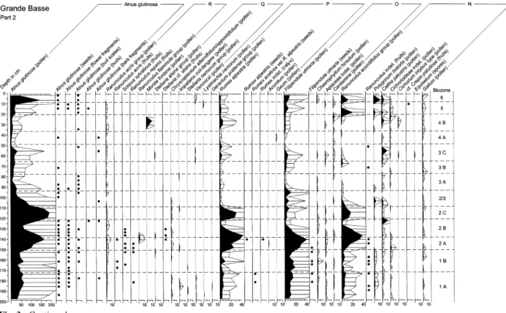 Fig. 3 Continued.