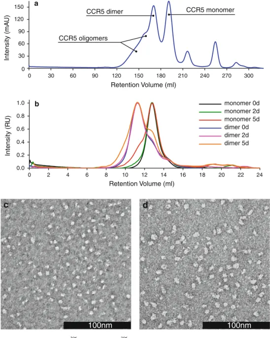 Fig. 5 Monomers and dimers of m7CCR5 306 and m11CCR5 306 . a Size exclusion chromatography of m11CCR5 306 on a Superdex 200 HiLoad 26/60 column