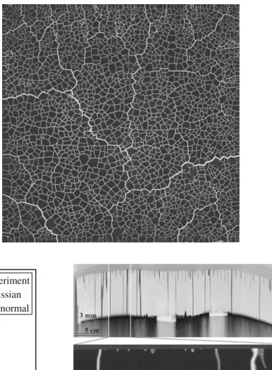 Fig. 12 Desiccation cracking in specimen TL-5 mm: impregnated crack pattern on the drying surface (31 × 31 cm) 0.00.51.01.52.02.5 0.0 0.5 1.0 1.5