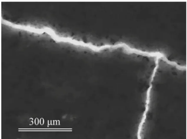 Fig. 1 Epoxy-impregnated desiccation cracks in fluorescent light under the optical microscope (8 × 8 × 4 cm specimen)