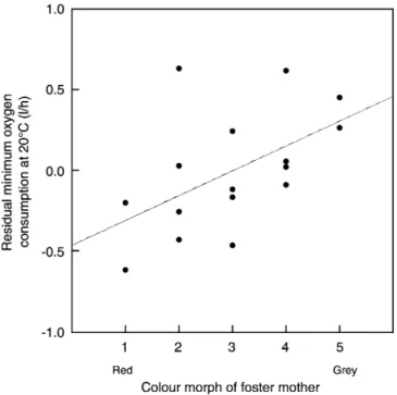 Fig. 1 Relationship between residual minimum oxygen consump- consump-tion at 20C and colour morph of foster mother tawny owls (Strix aluco)