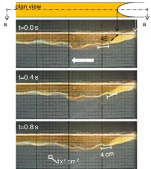 Fig. 7 Comparison of head in gravity currents and observed head- head-wave in the present study: a model presented by Xu (1992) for a gravity current in shear ambient flow; b observed headwave of oil slick with fluctuations in the front side