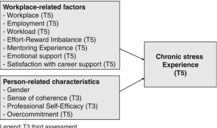 Fig. 1 Model of influencing factors on chronic stress experience in young physicians