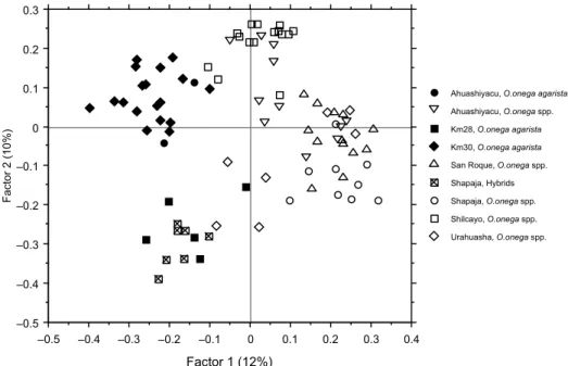 Figure 4. Principal coordinates analysis for O. onega agarista and O. onega ssp. based on RAPD data