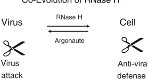 Fig. 8 Coevolution of RNase H. Viruses and hosts harbor similar elements. Viruses can provoke antiviral responses