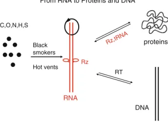 Fig. 3 From RNA to DNA. (Top) This reaction is performed by the telomerase in every embryonic eukaryotic cell and in tumor cells at chromosomal ends