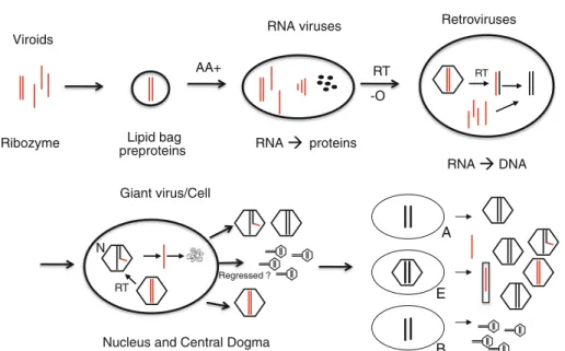 Fig. 4 From RNA to cells: the putative role of viruses during evolution, viruses first