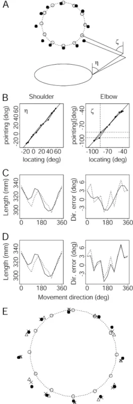 Figure 11A shows the targets (empty circles) and the average endpoints over all participants and conditions (filled circles) in Experiment 1