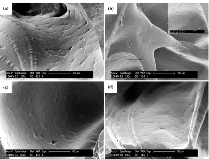 Fig. 11 Representative compressive stress–strain curves for foams a B and b E with the nHA contents indicated