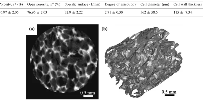 Fig. 13 a 2D slice perpendicular to the foaming direction and b 3D lCT reconstruction of foam E with 4.17 vol% nHA