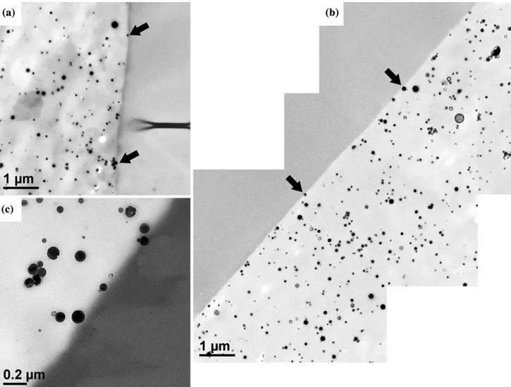 Fig. 4 TEM micrographs of foam wall of a PLLA/2 vol% nHA and b, c PLLA/4.17 vol% nHA. Example of nHA particles at the foam wall surface are indicated by arrows