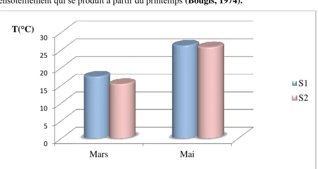 Figure 05 : Variation spatiotemporelle de la température de l’eau du lac Tonga. 