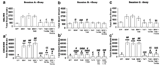 Fig. 2 BDNF, TrkB, and TrkT1 mRNA quantification after locomotor activity monitoring and doxycycline regulation of transcripts in vivo.