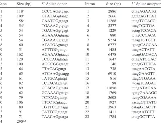 Figure 1 schematically represents the mapping and ge- ge-nomic organization of the chromosome 21 copy of TPTE (we designate this copy as TPTE-21)