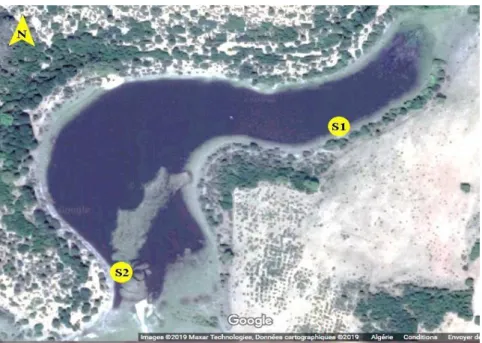 Figure 3 : Localisation des stations de prélèvement (Google Maps 2019). 