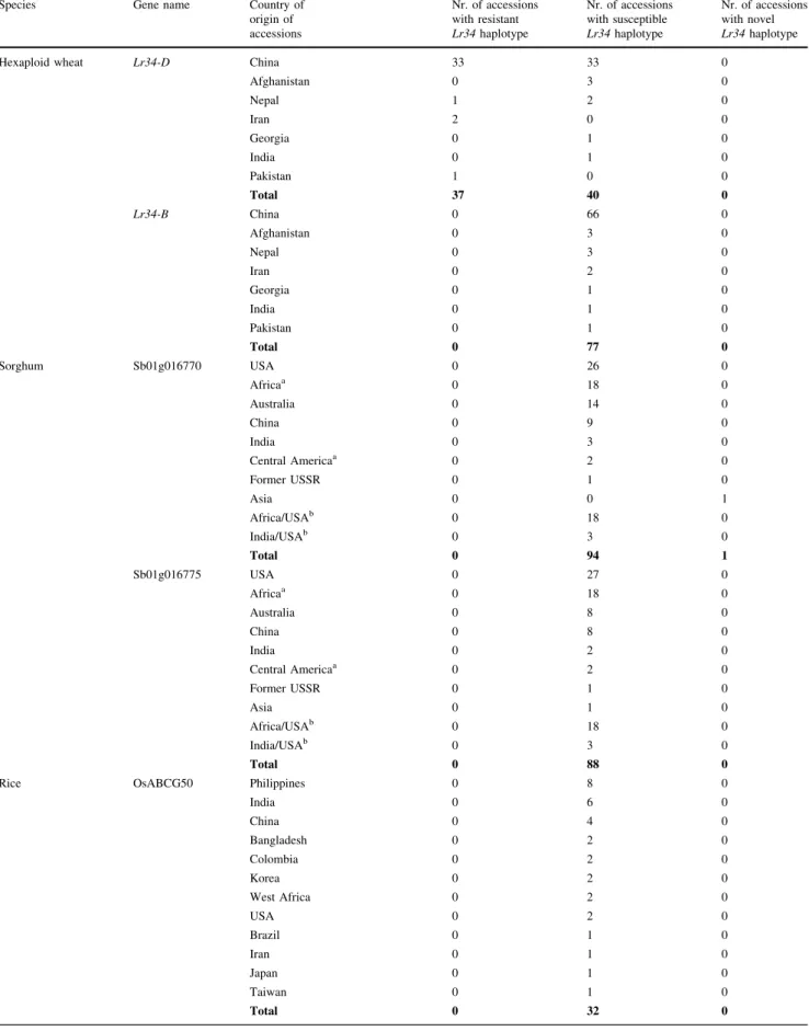 Table 2 Number of wheat, sorghum, rice and Ae. tauschii accessions that showed the resistant, susceptible or a novel haplotype for Lr34-D, the wheat homoeolog Lr34-B and the orthologs OsABCG50, Sb01g016770 and Sb01g016775, respectively