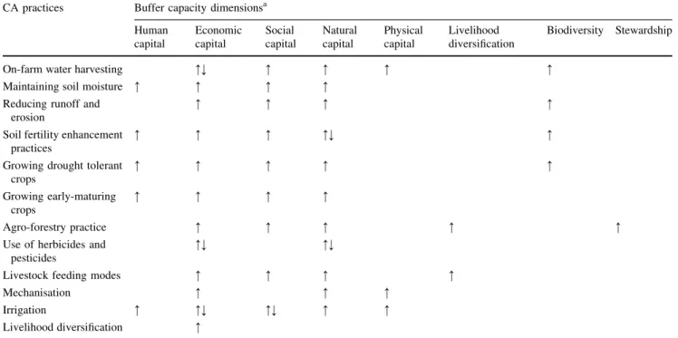 Table 3 A summary of the contributions of CA practices to buffer capacity CA practices Buffer capacity dimensions a