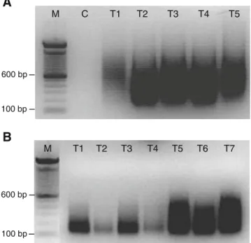 Fig. 2 A 1.5 % agarose gel with WGA products of DNA isolated from five frozen ccRCCs (a) and of DNA isolated from seven FFPE ccRCCs (b)