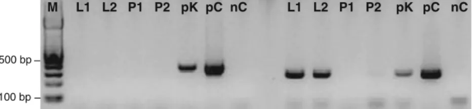 Fig. 4 VHL mutation c.300_308del/p.Thr100_Pro103delinsThr in the original DNA of one ccRCC patient (a), after WGA (b), and after WTA (c).
