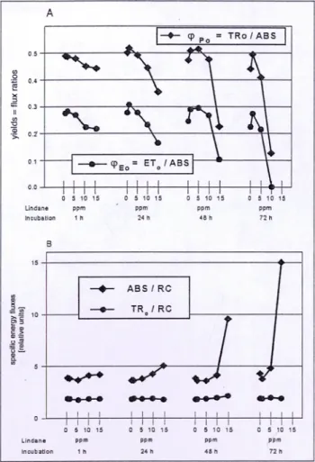 Fig.  3: The three-dimensional graphics show the  calculated values of the  performance  index of  PtAa s as  a function  of the  different combinations  of  time  and  of the  lindane concentration