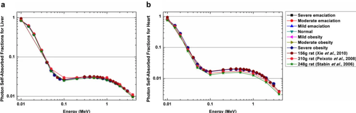 Fig. 4 Photon SAFs (a, c) and electron SAFs (b, d) for the stomach self-irradiation (a, b) and the stomach irradiating the kidneys (c, d)Fig