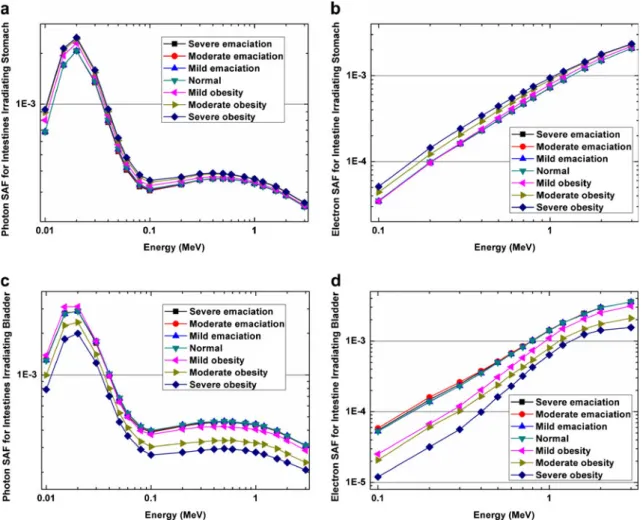 Figure 8 shows S-value ratios for 11 C, 124 I, 18 F and 86 Y positron-emitting radionuclides for different source–target  or-gan pairs between the six rat models and the normal rat model.