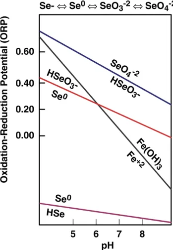 Fig. 2 The equilibrium forms of selenium to be expected in soil at various conditions of pH and redox potential