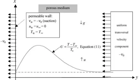 Figure 1. The choice of the coordinate system and the wall jet-like shape of the dimensionless downstream velocity U which, according to Equation (11), coincides with the dimensionless temperature profile (T − T ∞ )/T 0 