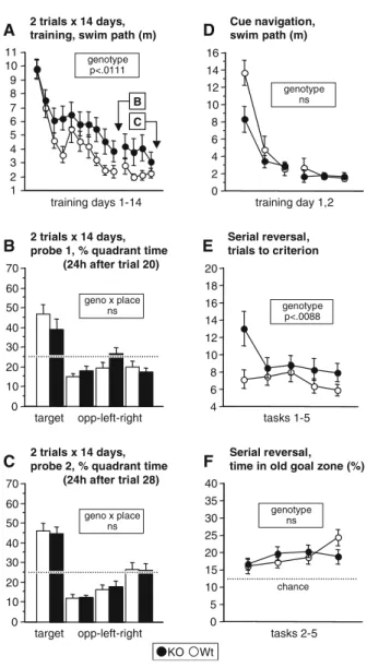 Fig. 4 Water-maze learning in a place navigation procedure of two trials per day during 14 days with 30 s ITI (Zurich, 11 KO, 13 WT, A–C) and in a cue navigation procedure that was followed by a serial reversal task (Zurich, 15 KO, 13 Wt; D–F).