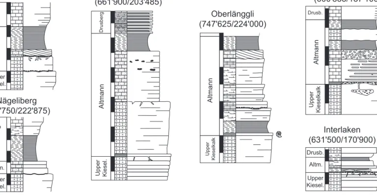 Fig. 6. Detailed lithostratigraphic logs of the Altmann Member in central Switzerland (modified after Bodin et al