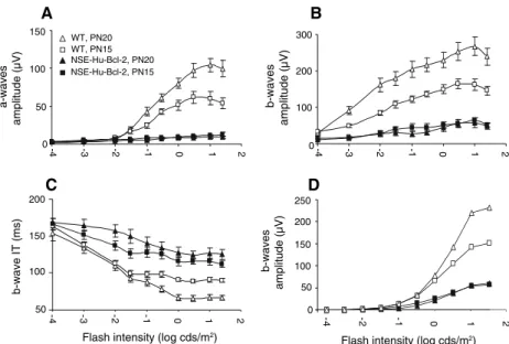 Fig. 3 Quantification of age-related changes for scotopic a- and b- waves amplitudes (A and B, white lines, WT; black lines, NSE-Hu-Bcl-2) and IT (C, white lines, WT; black bars, NSE-Hu-Bcl-2)