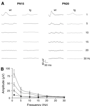 Fig. 4 Light-adapted single-flash ERG series recorded from wild-type (WT) and from NSE-Hu-Bcl-2 transgenic mice (tg).