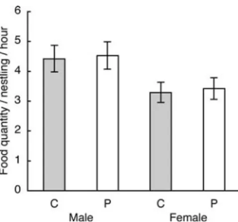 Fig. 1 Food provisioning of the male and female parent to carotenoid-supplemented (C) and placebo-fed (P) nestlings before feather appearance, i.e