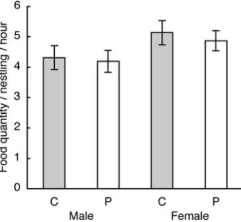 Fig. 2 Food provisioning of the male and female parent to carotenoid-supplemented (C) and placebo-fed (P) nestlings after feather appearance, i.e