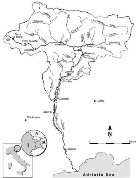 Figure 2. Catchment map of the Tagliamento, with major tributaries and towns. Inset shows the location of the river in Italy (I), near the borders of Austria (A) and Slovenia (SL) (modified after Ward et al., 1999 b).
