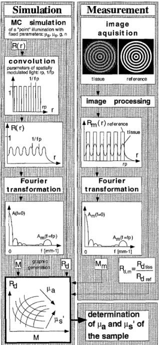 Fig.  1.  Principle  of the  SFDR method. 