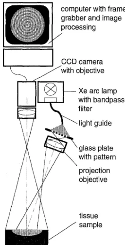 Fig.  3.  Experimental  set-up  to  measure  ga  and  P.s' of  a  tissue sample with the SFDR  method