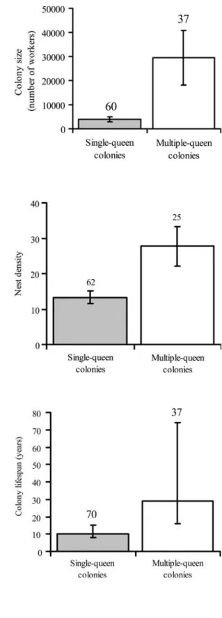 Fig. 1 Colony size (mark- (mark-recapture estimates of the number of workers) in  single-queen (grey bars) and multiple-queen colonies