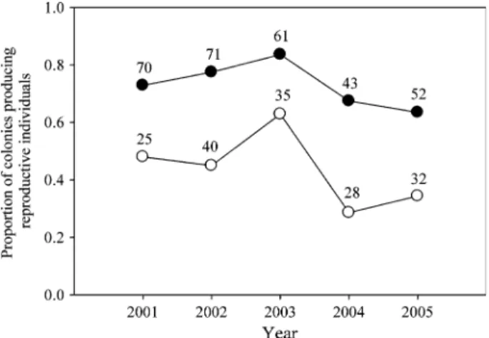 Fig. 5 Proportion of single-queen (black spots) and multiple-queen (white spots) colonies producing reproductive individuals (queens and/or males) over five consecutive years