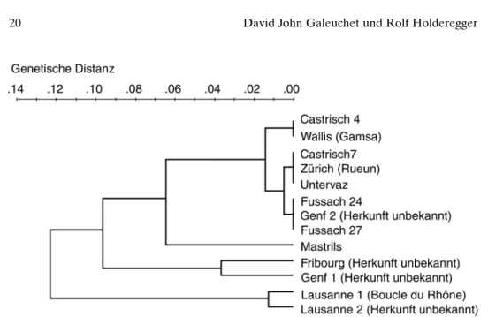 Abb. 3. Genetische Distanzen zwischen den natürlichen Populationen, den ex-situ Kulturen der schweizerischen Botanischen Gärten und wiederangesiedelten Populationen im Wallis von Typha minima im UPGMA-Cluster-Diagramm