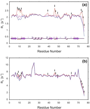 Fig. 9 Amide proton exchange rates of ubiquitin as determined by the MEXICO experiment (black)