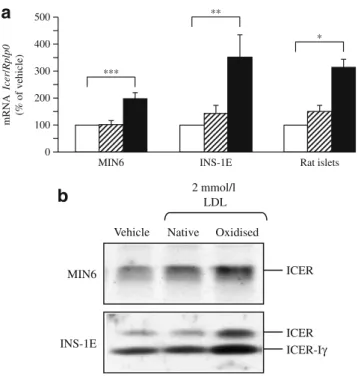 Fig. 1 mRNA and protein levels of ICER in response to oxidised LDL. a The mRNA level of Icer was quantified by quantitative  real-time PCR using total RNA from MIN6, INS-1E and isolated rat islet cells cultured for 72 h with vehicle (white bars), native LD
