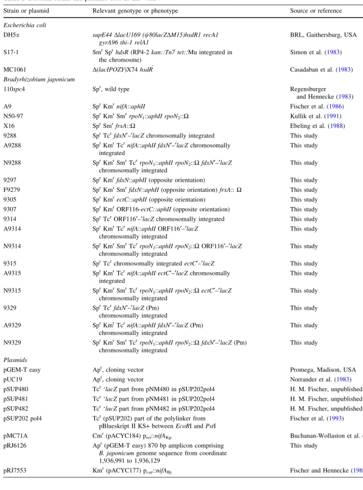 Table 1 Bacterial strains and plasmids used in this work