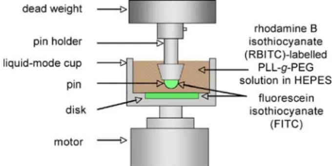 Figure 3. A schematic illustration of the pin-on-disk tribometer and the location of the two diﬀerent ﬂuorescently labeled PLL-g-PEG copolymers (ﬂuorescein isothiocyanate (FITC-PLL-g-PEG),  pre-coated onto both pin and disk, RBITC-PLL-g-PEG, in the lubrica