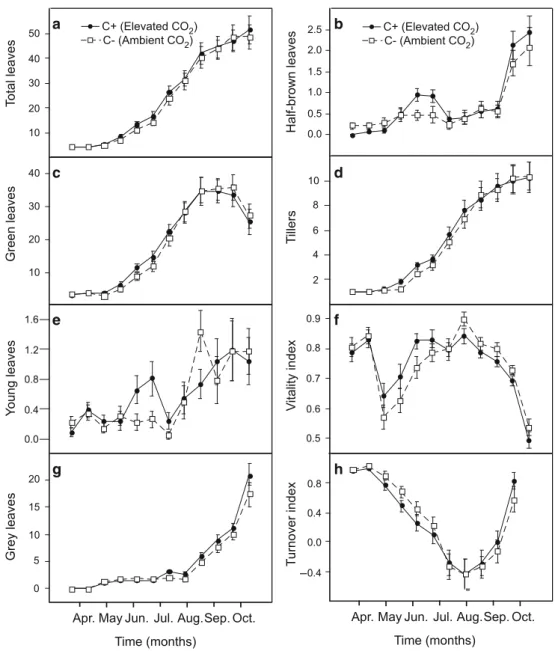 Fig. 1 Leaf variable responses of Eriophorum vaginatum seedlings to elevated atmospheric CO 2 (C?) and control (C-) treatments throughout time (mean ± SE), n(C?/C-) = 30, with panels showing